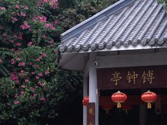-鼎湖山风景区