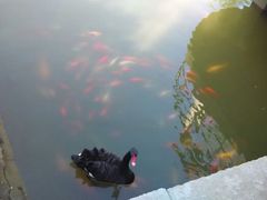 android_upload_pic-芭东小镇温泉