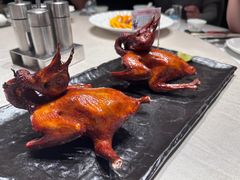 金牌红烧乳鸽-侨美食家·40年地道粤菜(珠江新城店)