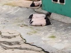 -宁波野生动物园