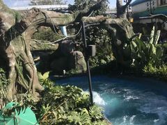 -七彩云南欢乐世界