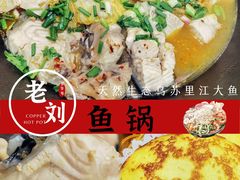 -老刘生态大鱼坊铁锅炖鱼(赛马场店)