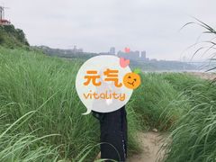 -金海湾滨江公园