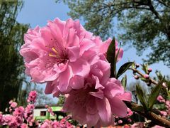 -海棠花溪(元大都城垣遗址公园)