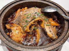 -海派美食·家宴海鲜青岛菜·石锅鲽鱼头(东方城店)
