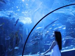 -太平洋海底世界