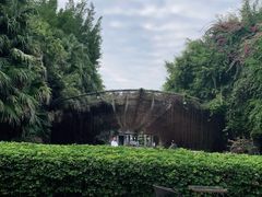 -森波拉火山温泉