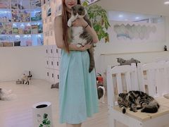 -李小姐の猫咖啡馆(五角场店)