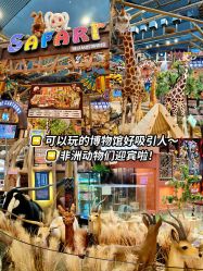 -卡通尼·Safari非洲探索乐园·生日会(金桥国际商业广场店)