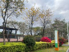 -立新湖公园