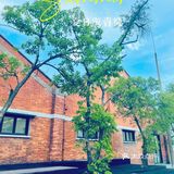 免费人还少广州网红宝藏之地[得意]