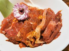 -九鼎轩脆毛肚火锅(三钢里店)