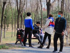 -大兴滨河森林公园