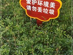 -三亚亚龙湾雅高铂尔曼别墅度假酒店