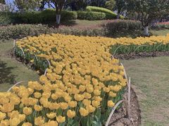 -玄武湖景区-情侣园游乐场