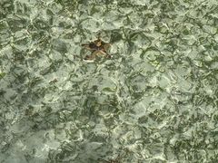 -卡帕莱度假村(西巴丹岛)