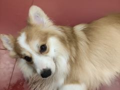 -和它·交个朋友·狗咖猫咖(爱琴海店)