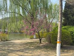 -南翠屏公园
