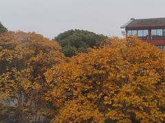 -杭州西溪喜来登度假大酒店