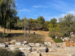 -北京西山国家森林公园