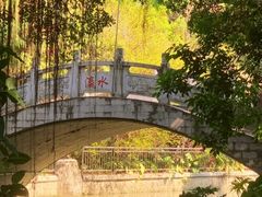 -小洲村