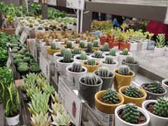 -鹿岛会员店(熙地港店)