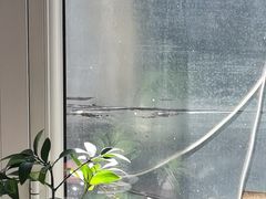-伊斯麦尔丝路·新派菜(沙子口店)