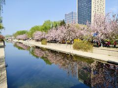 -元大都城垣遗址公园