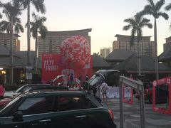 -三亚湾红树林度假世界(木棉酒店)