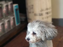 -默迹咖啡馆