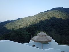 -龙岩森林水乡景区