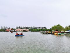 -上海长兴岛郊野公园