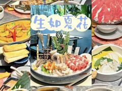 -生如夏花泰式火锅(鹭洲里店)