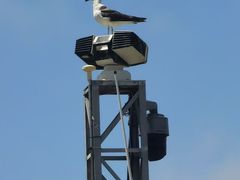 -日照灯塔风景区