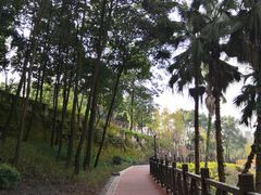 -重庆工商大学(南岸校区)