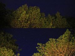 -重庆睡佛山森林公园