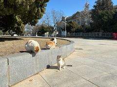 -旅顺博物馆