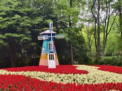 -上海共青森林公园