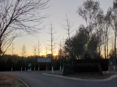 -东郊湿地公园