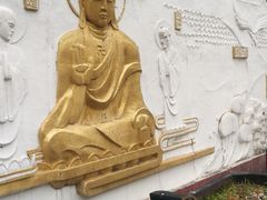 -大金鹰园