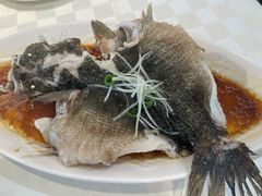 -光明邨大酒家(淮海路店)