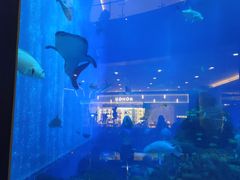 -成都浩海立方海洋公园