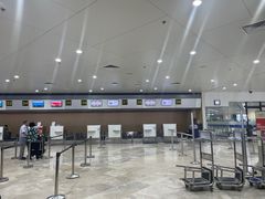 -尼诺伊·阿基诺国际机场T1航站楼