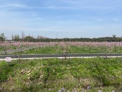 -广富林郊野公园