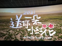 -深圳百老汇电影中心(IMAX万象天地店)