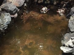 -綱元·海鲜豆捞(明州里店)