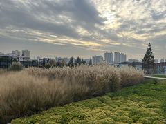 -中共上海市委党校 上海行政学院