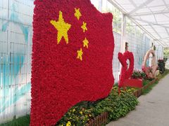 -上海鲜花港