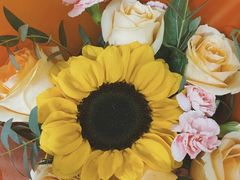 -成都市第一人民医院(南区)