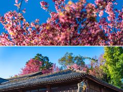 -天龙八部武侠城